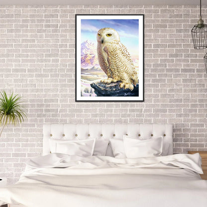 Owl | Diamond Painting