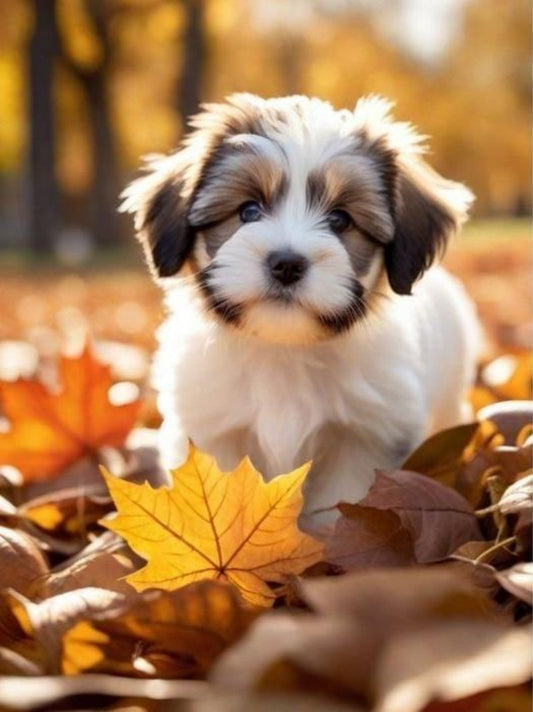 Havanese Dog | Diamond Painting