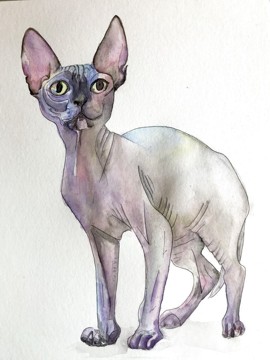 Sphynx Cat  | Diamond Painting