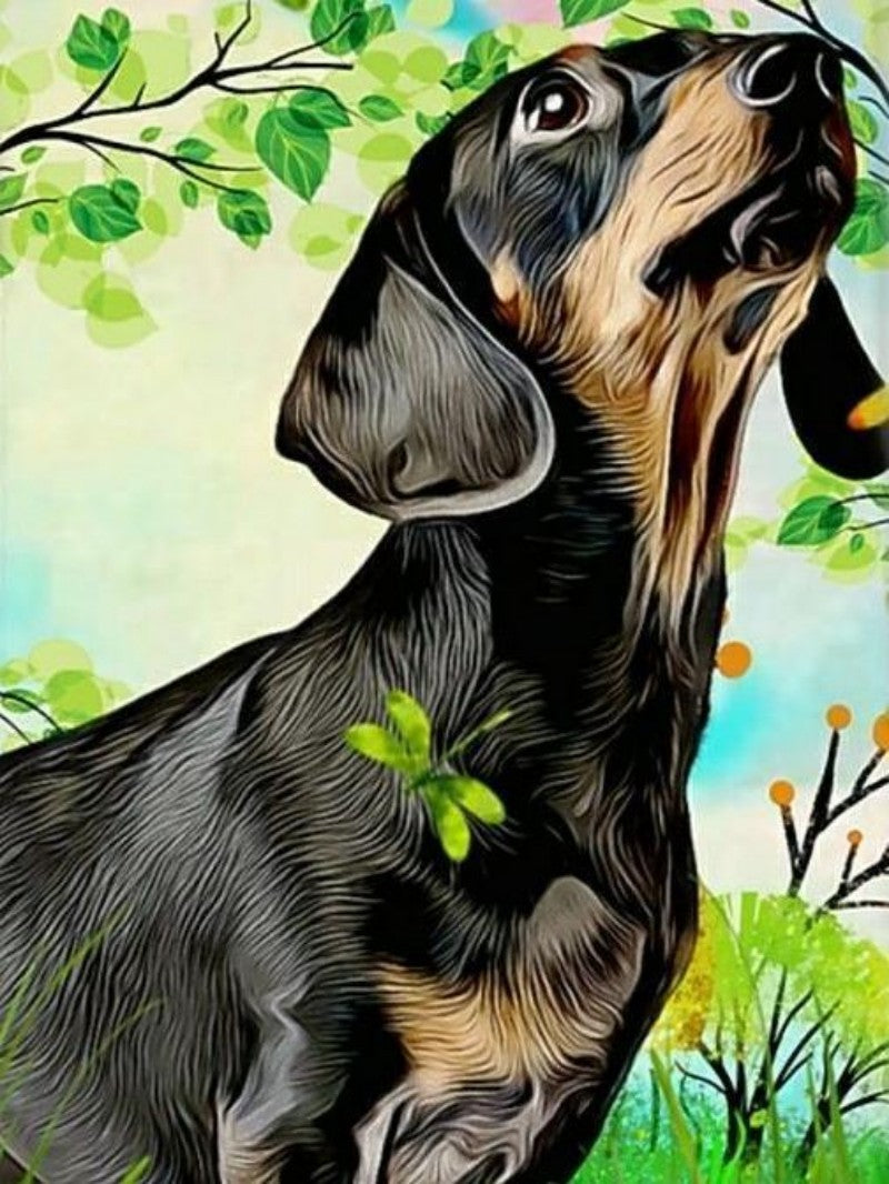 Dachshund Dog | Diamond Painting