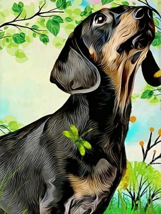 Dachshund Dog | Diamond Painting