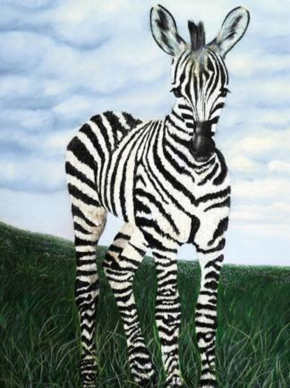 Zebra | Diamond Painting