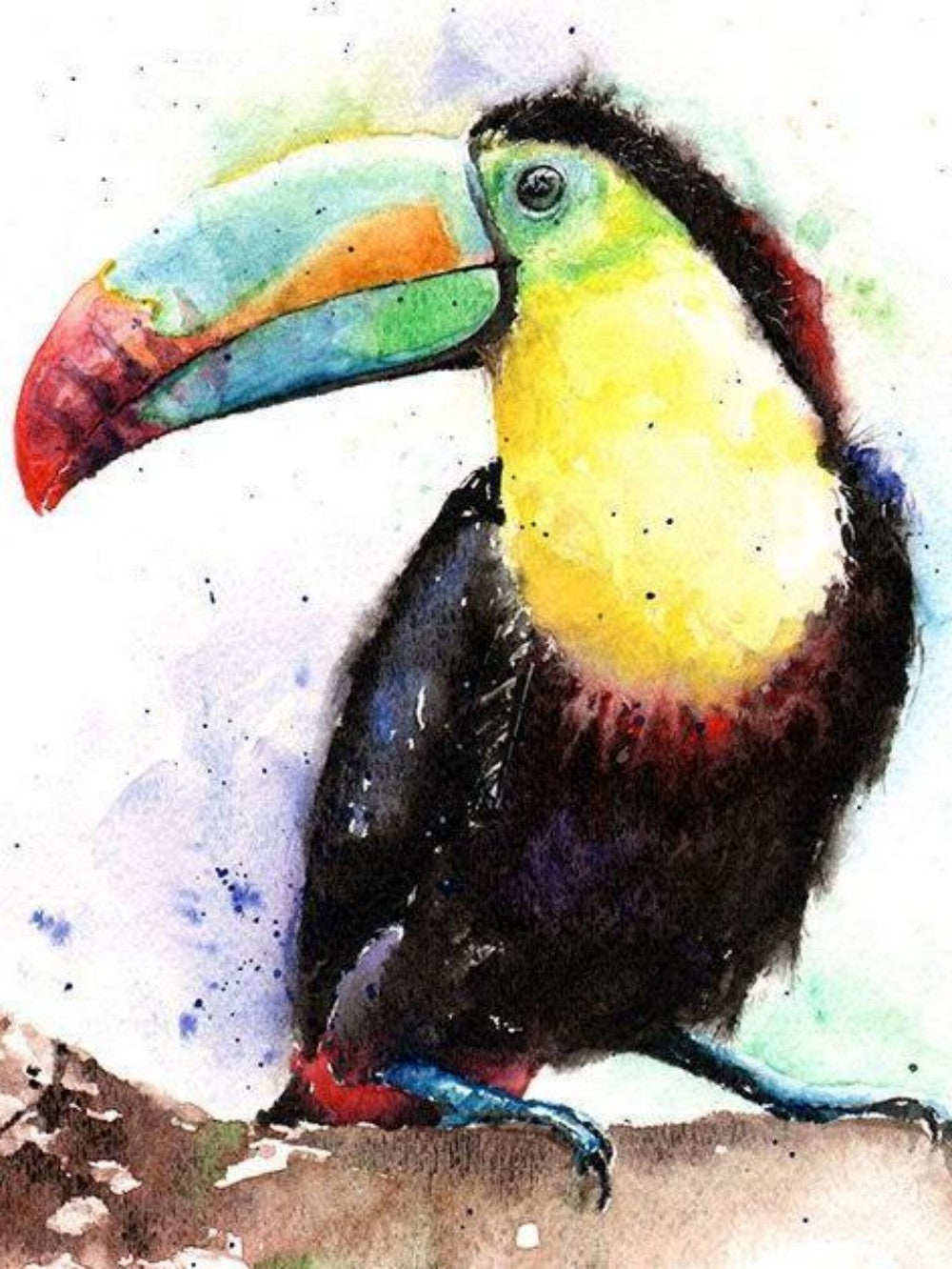 Toucan Bird | Diamond Painting