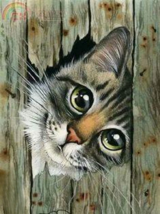 Tabby Cat | Diamond Painting