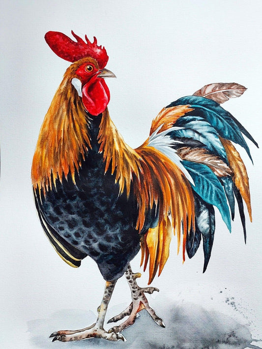 Chicken | Diamond Painting