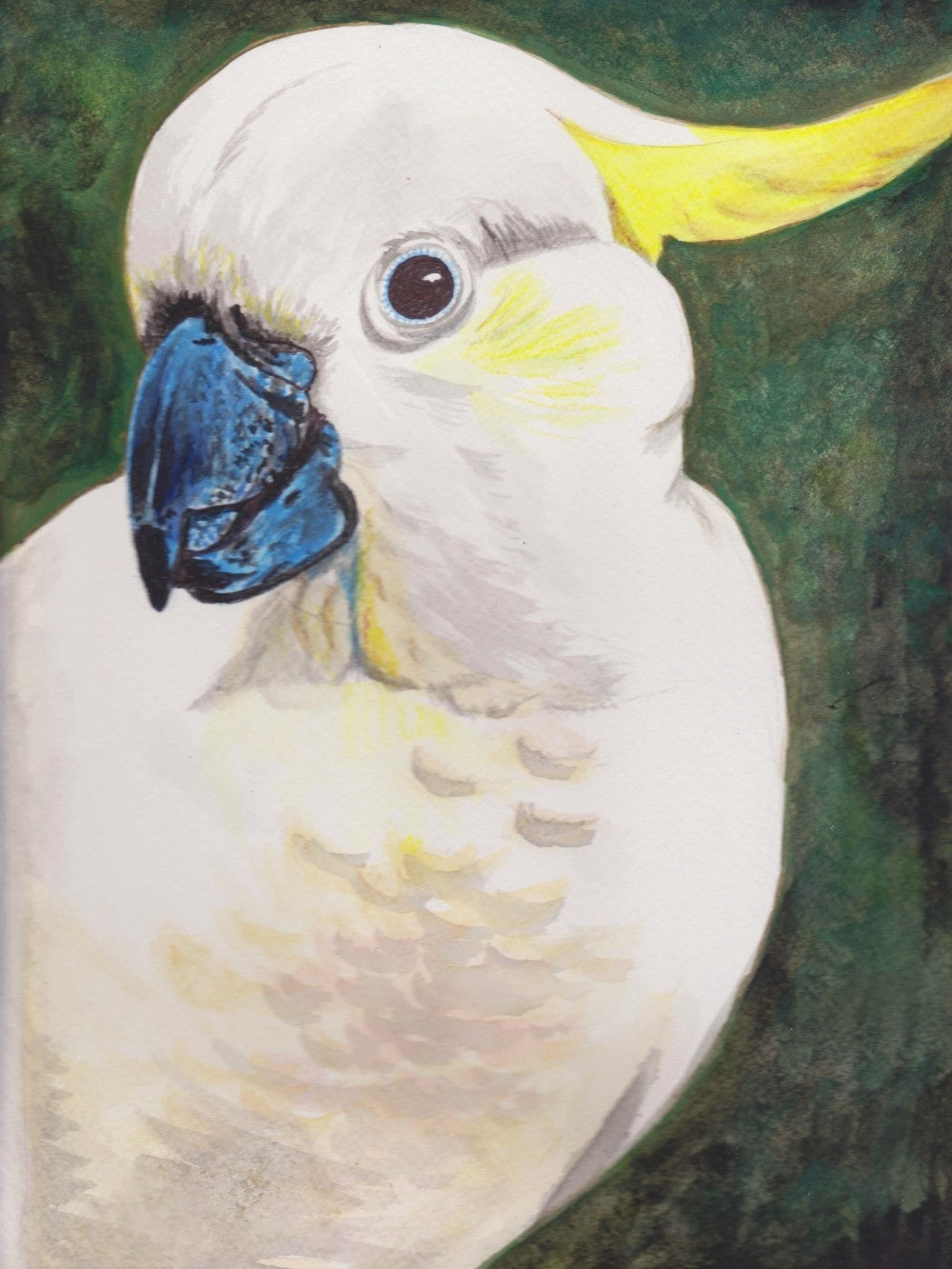 Cockatoo | Diamond Painting