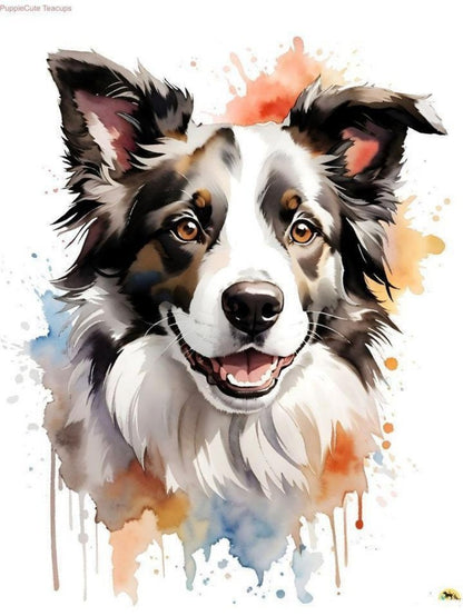 Dog Border Collie | Diamond Painting