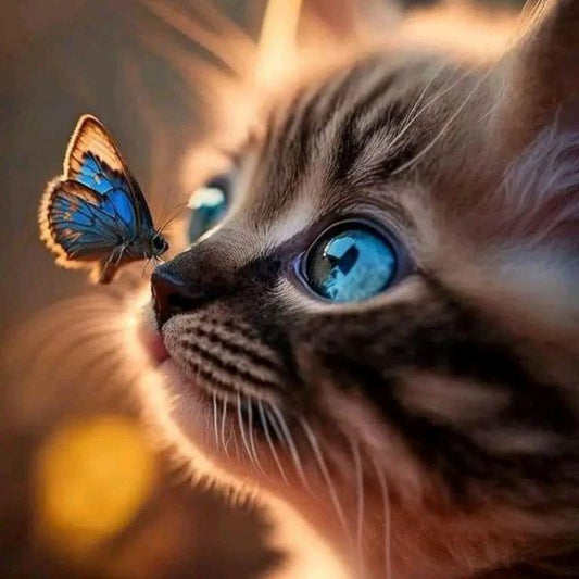 Cat with Butterfly  | Diamond Painting