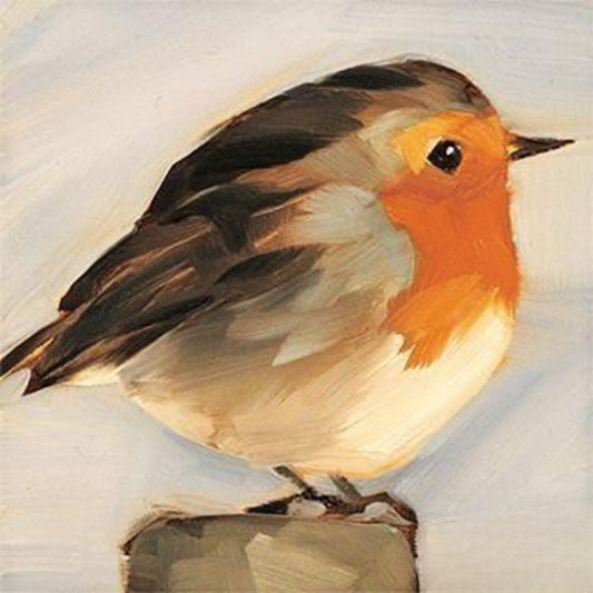 Robin Bird | Diamond Painting