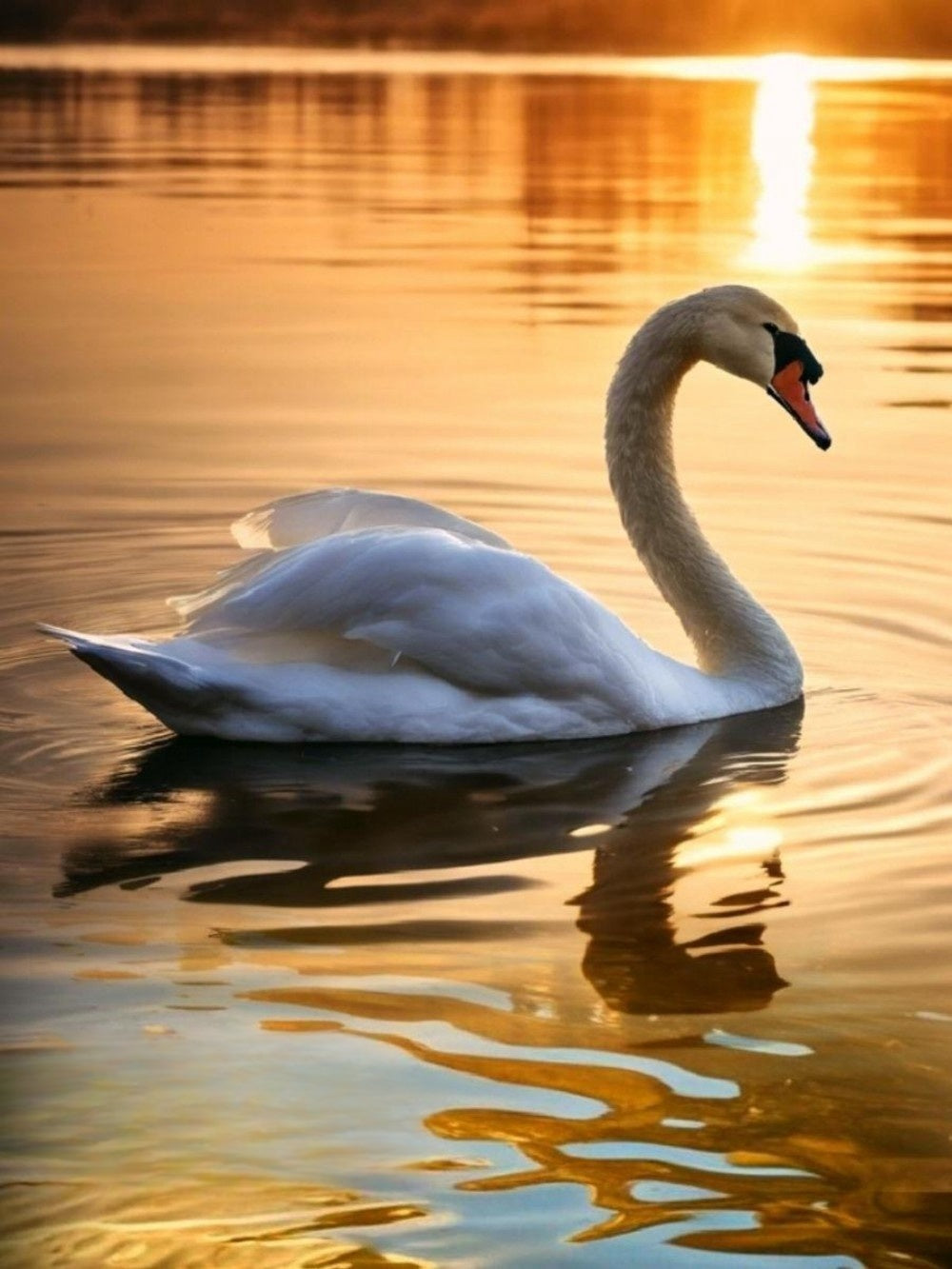 Swan | Diamond Painting