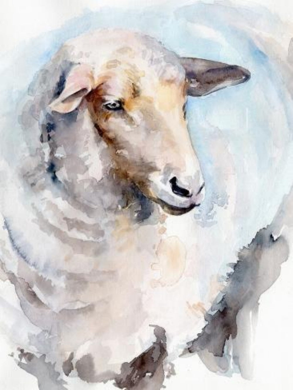Sheep | Diamond Painting