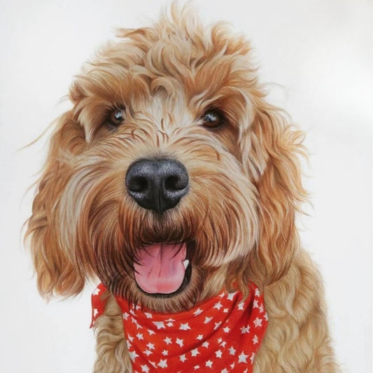 Cavapoo Dog | Diamond Painting