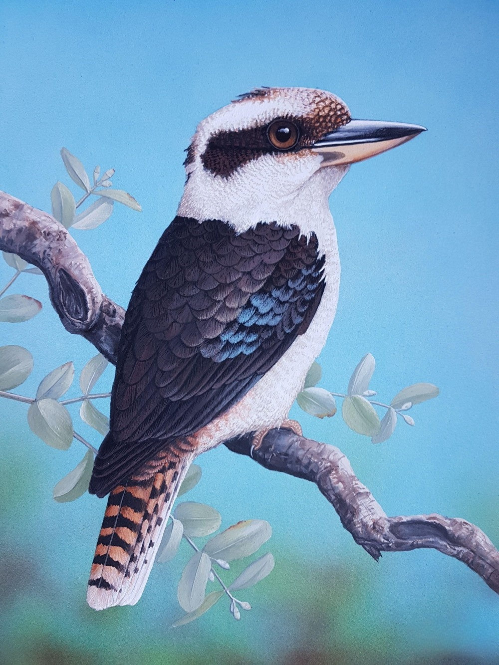 Kookaburra | Diamond Painting