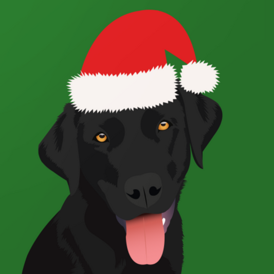 Black Labrador Dog | Diamond Painting
