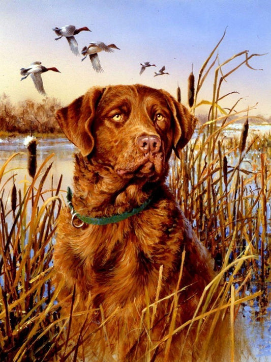 Chocolate Labrador Dog | Diamond Painting