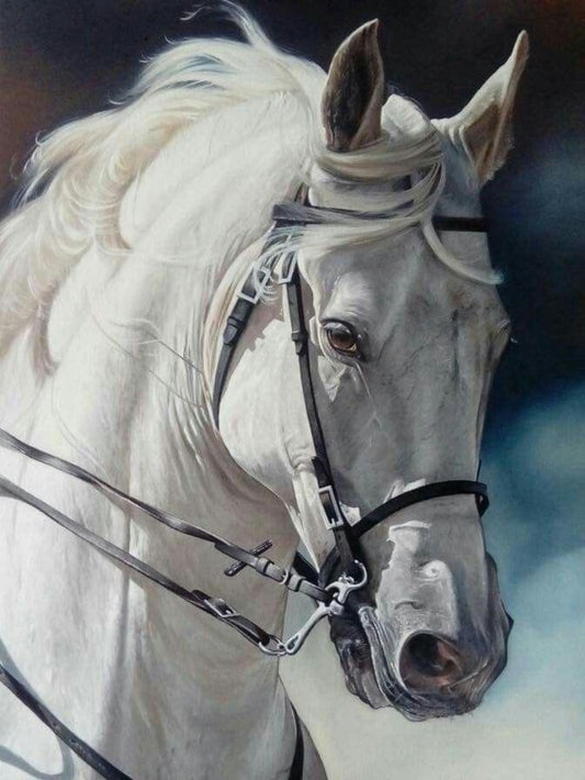 Horse | Diamond Painting
