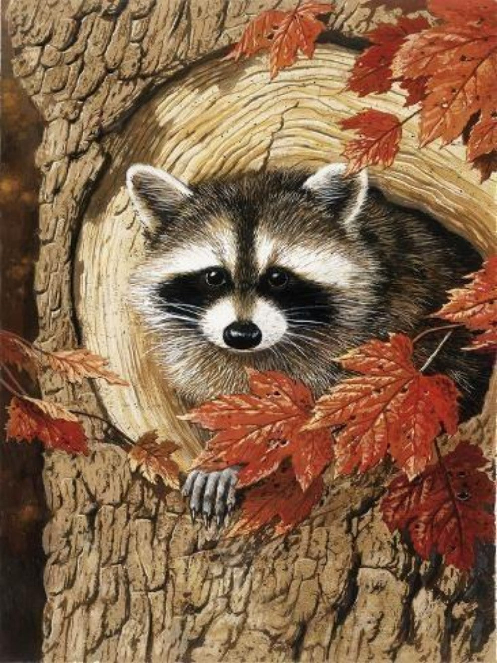 Raccoon | Diamond Painting