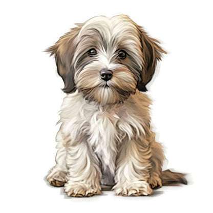 Havanese Dog | Diamond Painting
