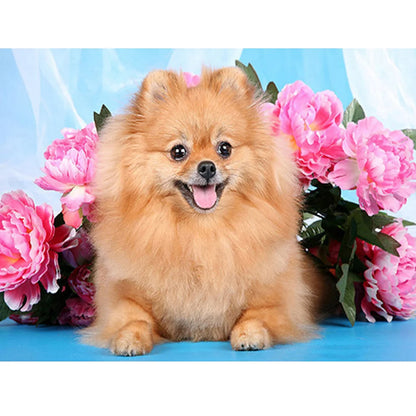 Flower Dog Pomeranian | Diamond Painting
