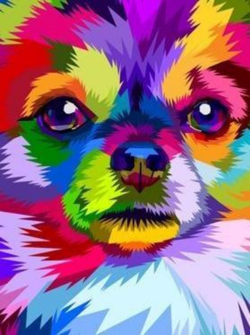 Dog Chihuahua | Diamond Painting