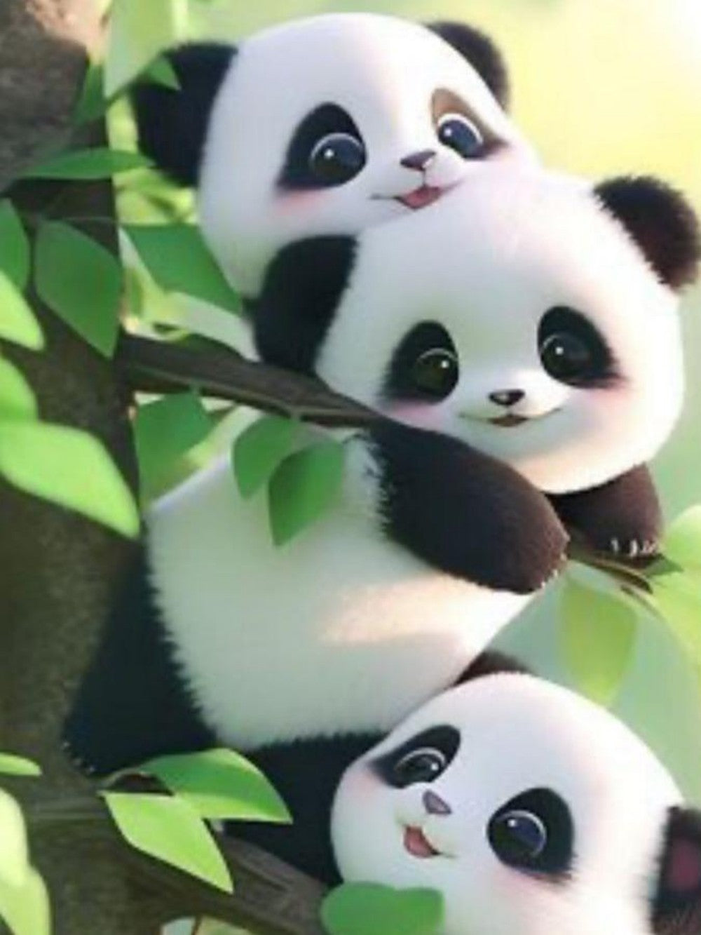 Panda | Diamond Painting