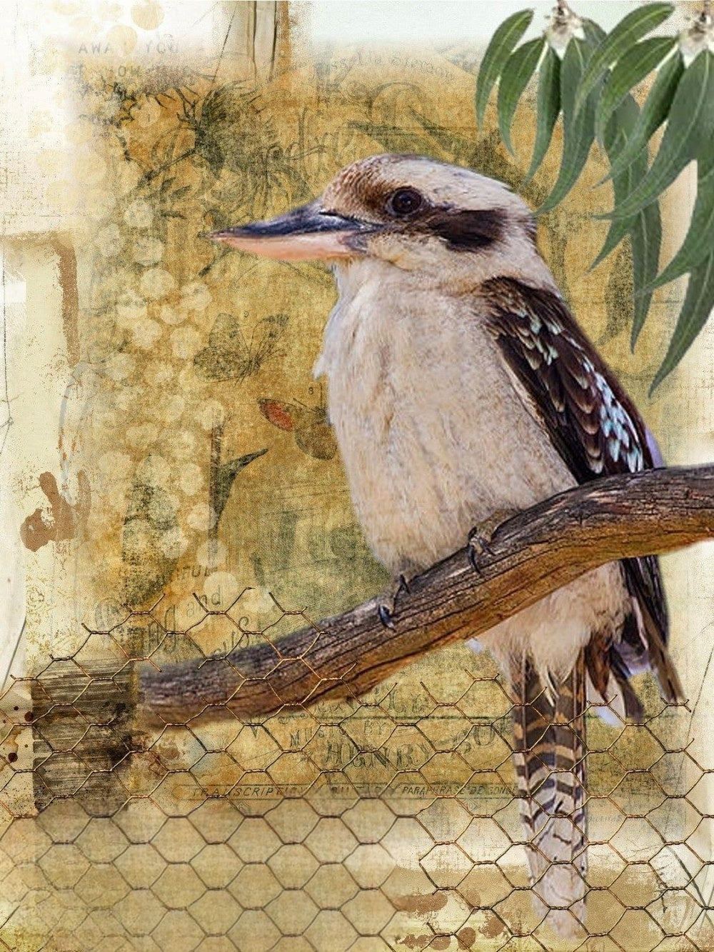 Kookaburra | Diamond Painting