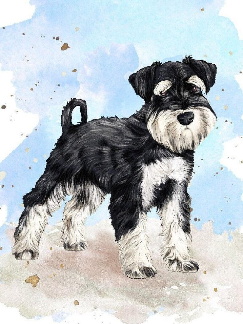 Dog Schnauzer | Diamond Painting
