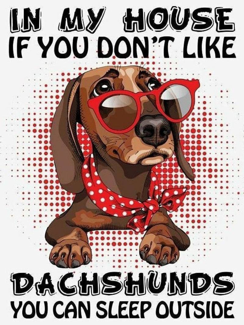 Dachshund Dog | Diamond Painting
