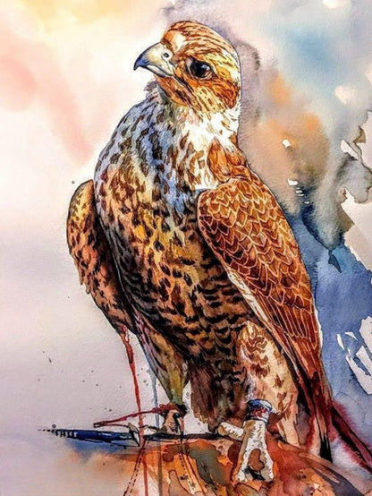 Falcon | Diamond Painting