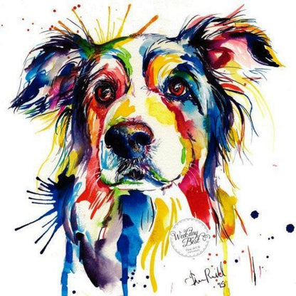 Dog Border Collie | Diamond Painting