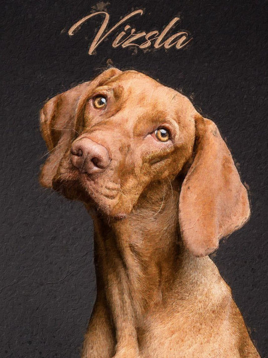 Vizsla Dog | Diamond Painting