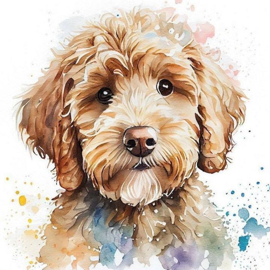 Cavapoo Dog | Diamond Painting