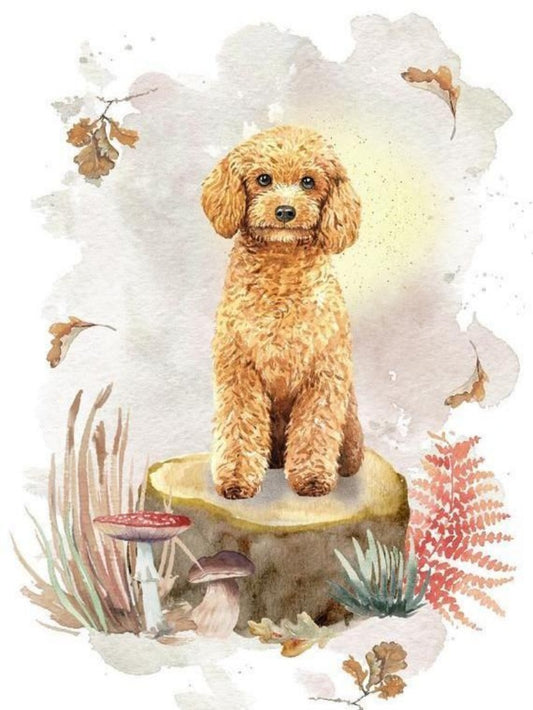 Poodle Dog | Diamond Painting