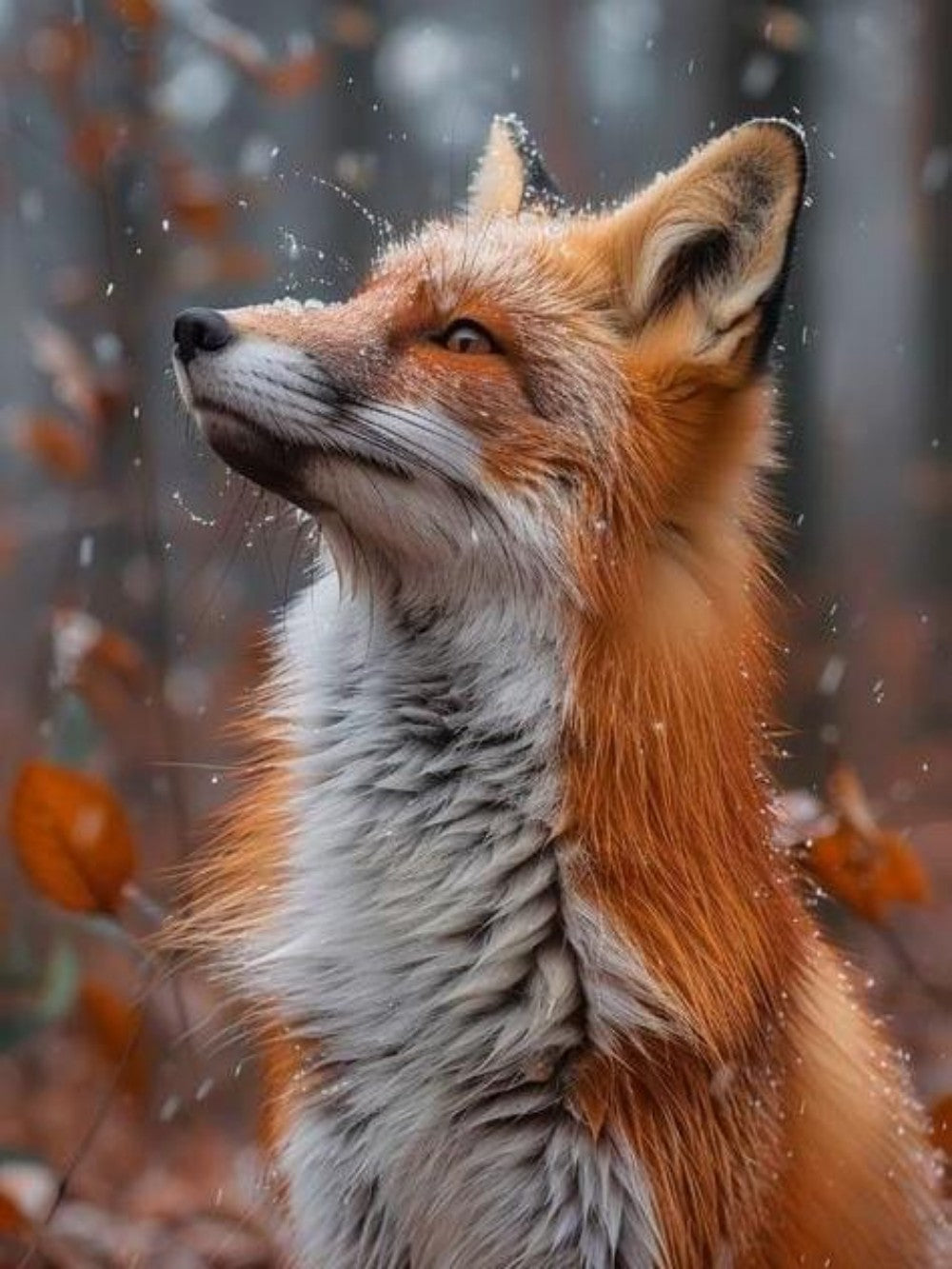 Fox | Diamond Painting