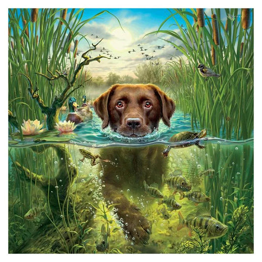 Chocolate Labrador Dog In The Water | Diamond Painting