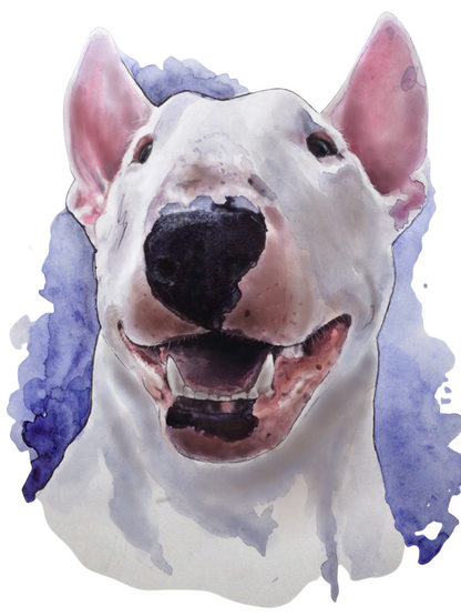 English Bull Terrier Dog | Diamond Painting