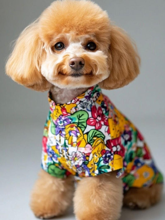 Poodle Dog | Diamond Painting
