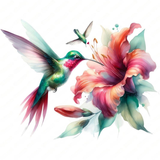 Hummingbird | Diamond Painting