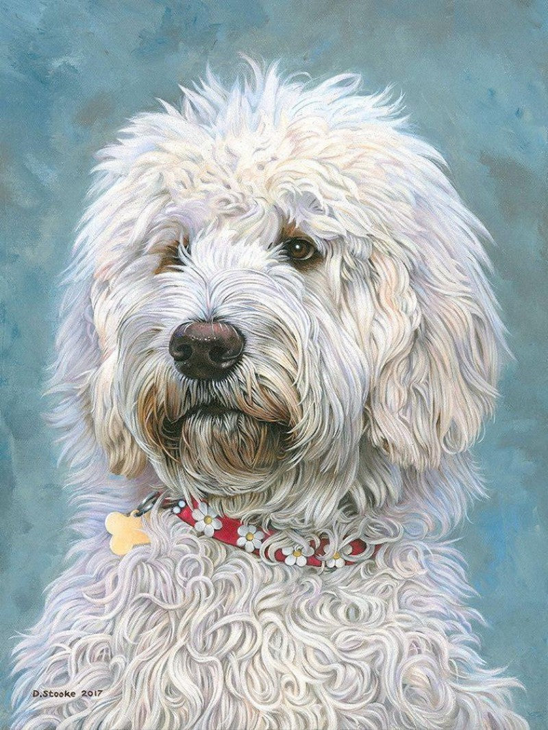 Labradoodle Dog | Diamond Painting