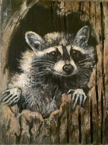 Raccoon | Diamond Painting