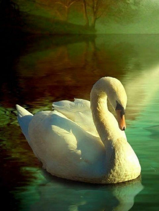 Swan | Diamond Painting