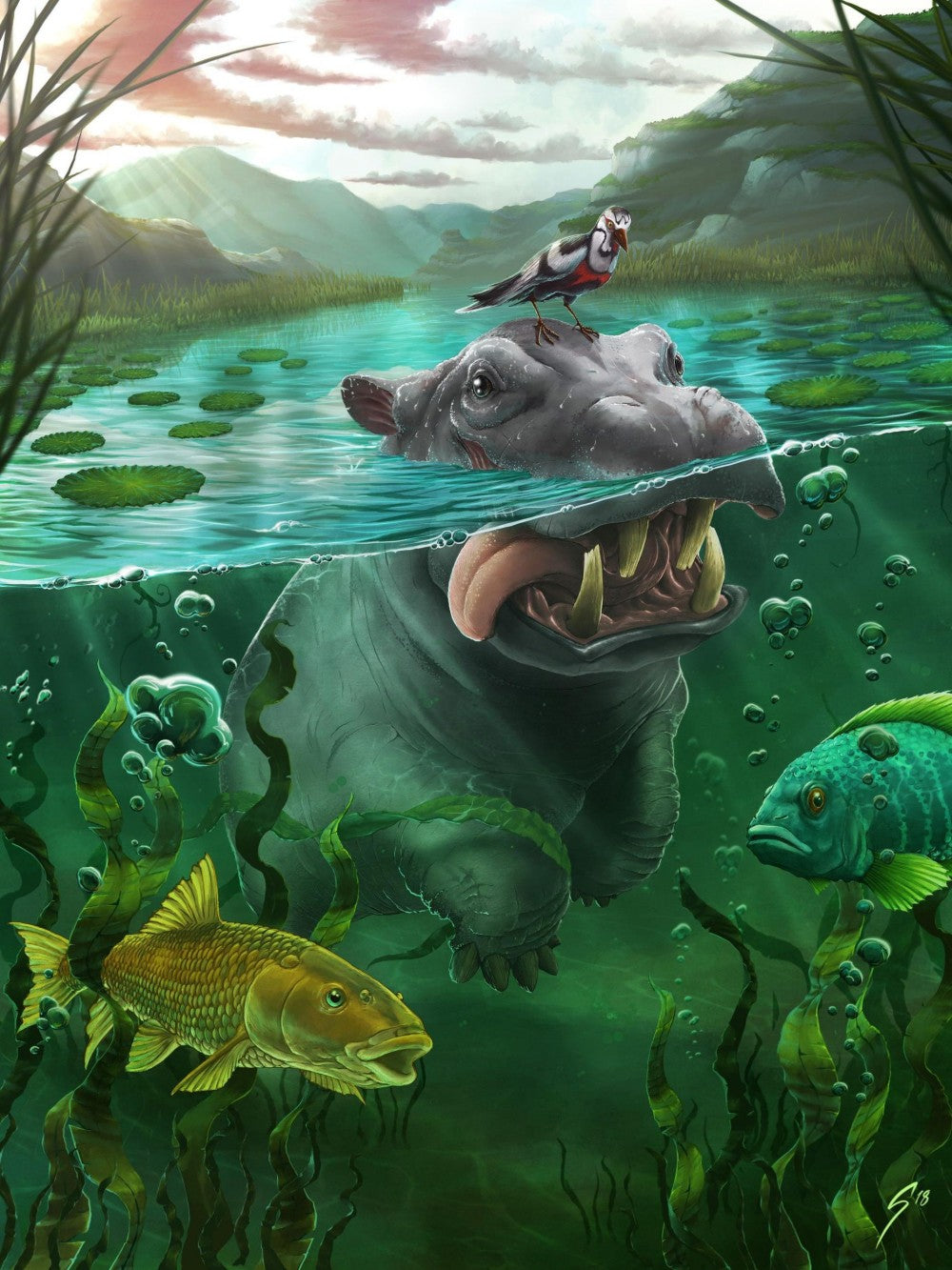Hippo | Diamond Painting