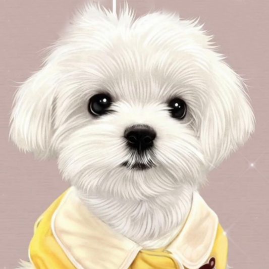 Dog Bichon Frise | Diamond Painting