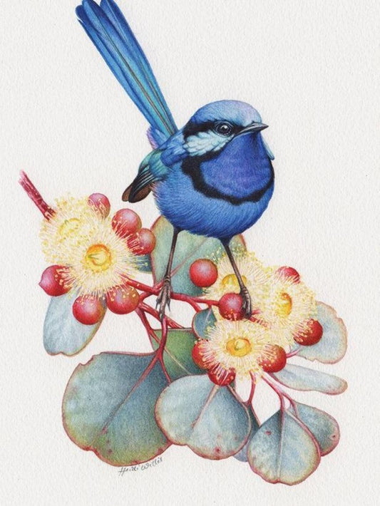 Blue Wren | Diamond Painting