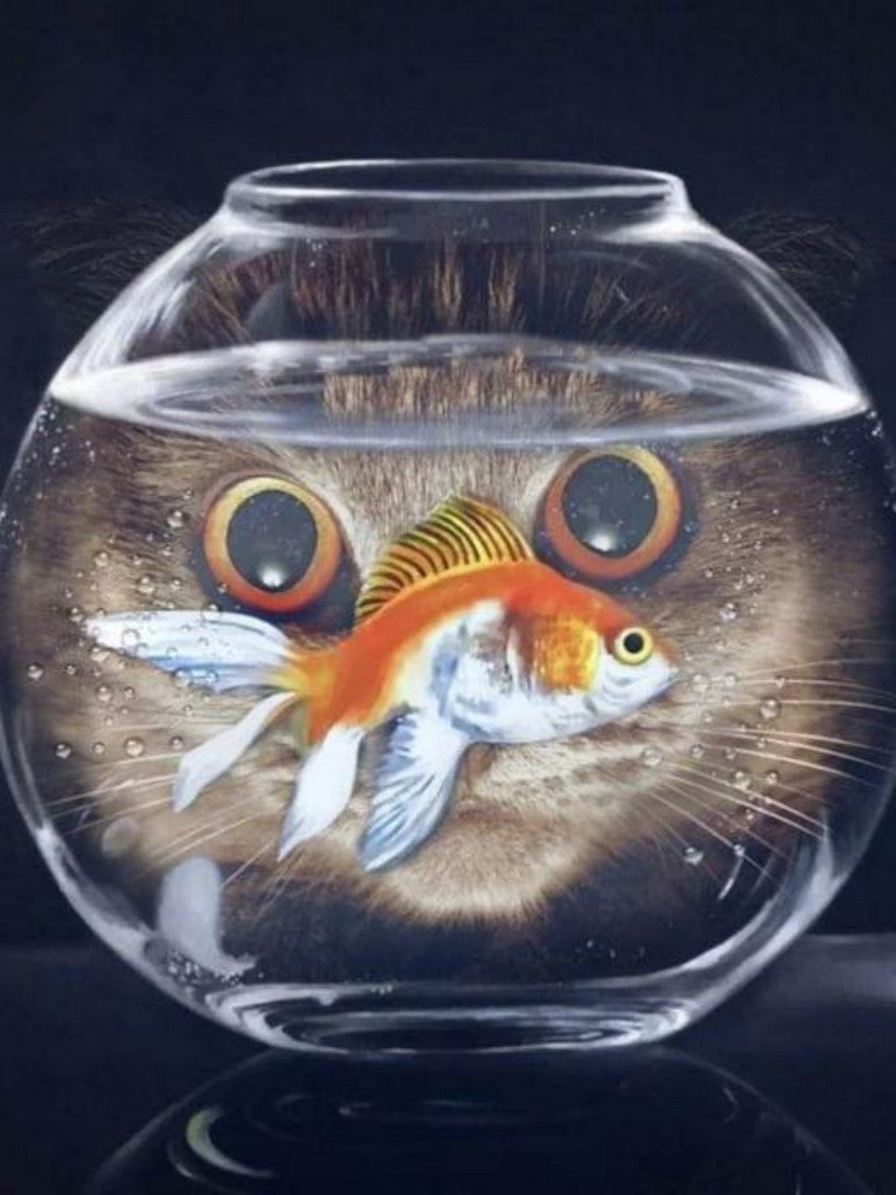 Cat Fish | Diamond Painting