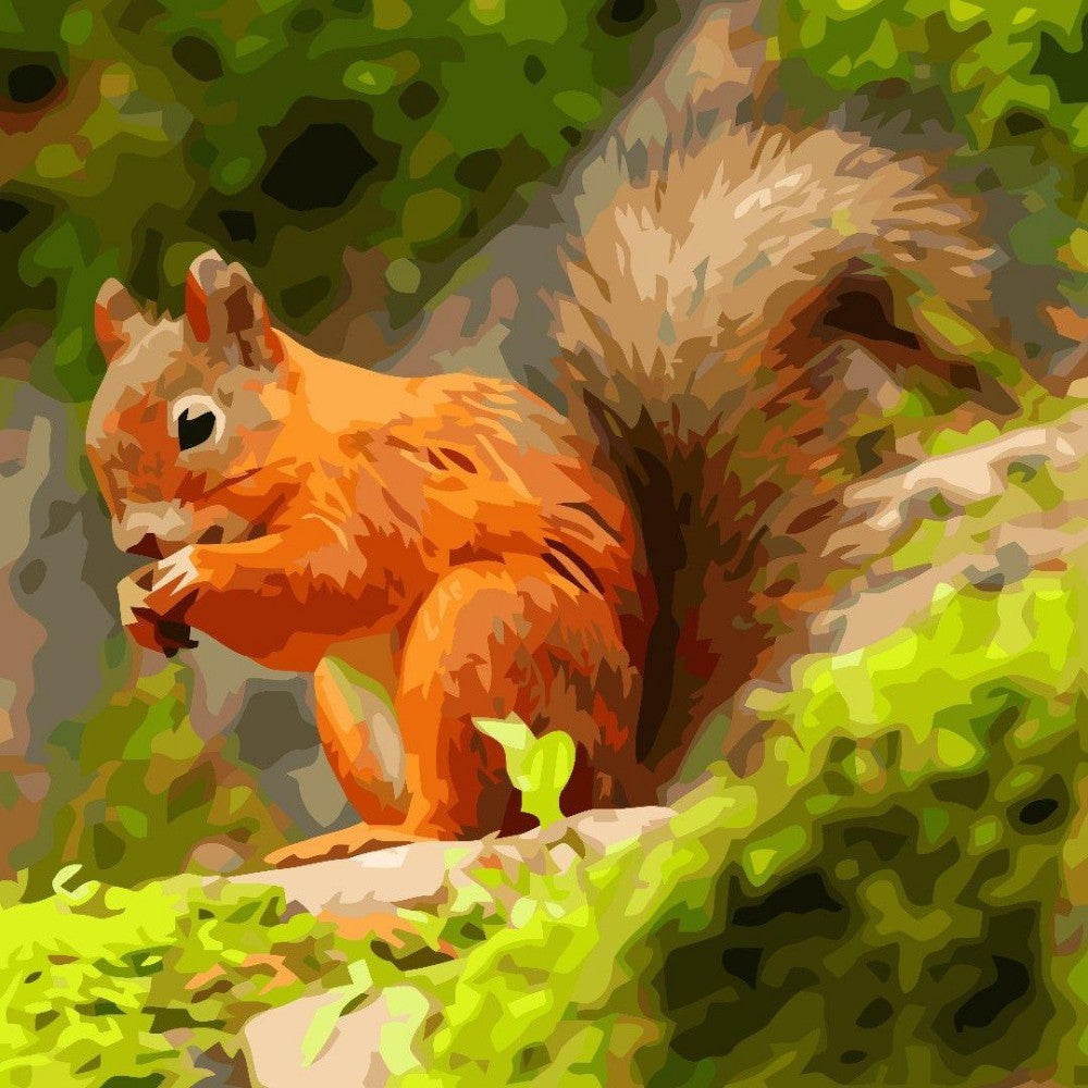 Squirrel | Diamond Painting
