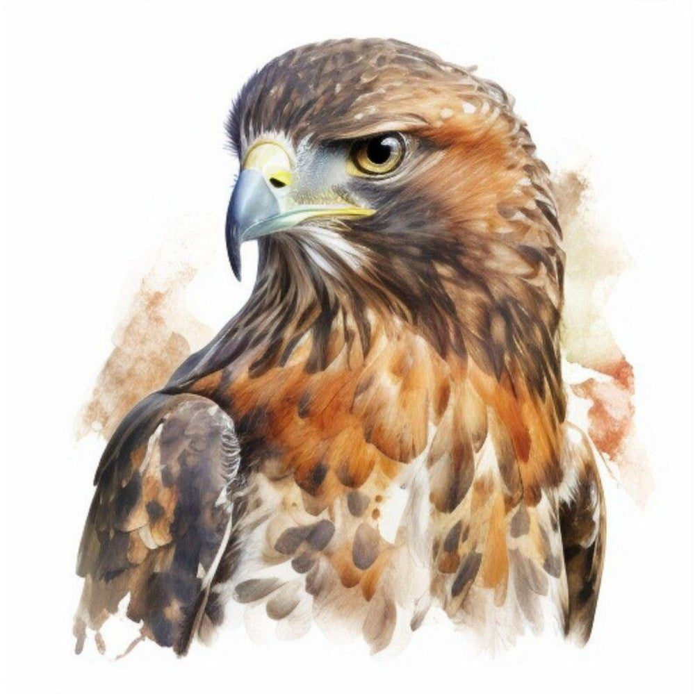 Falcon | Diamond Painting