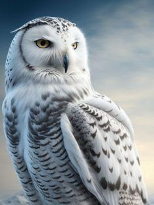 Snowy owl (White Owl) | Diamond Painting