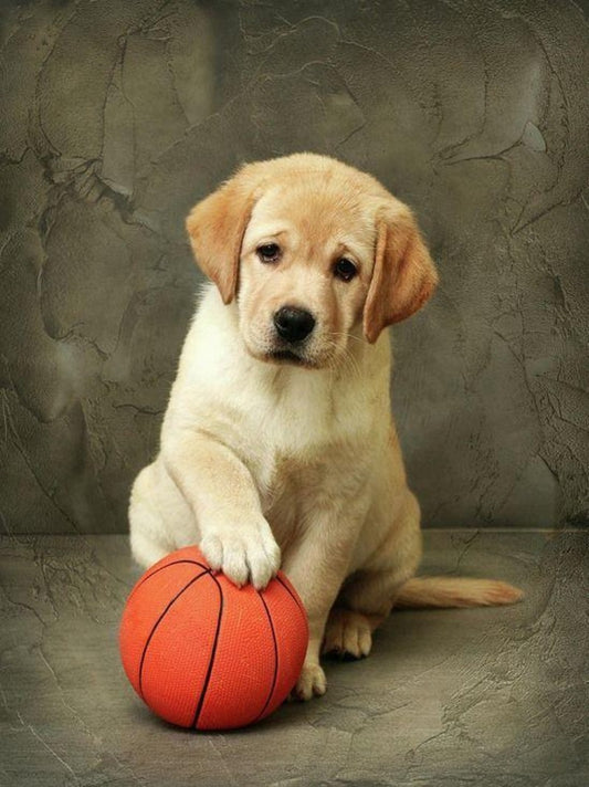 Yellow Labrador Dog | Diamond Painting