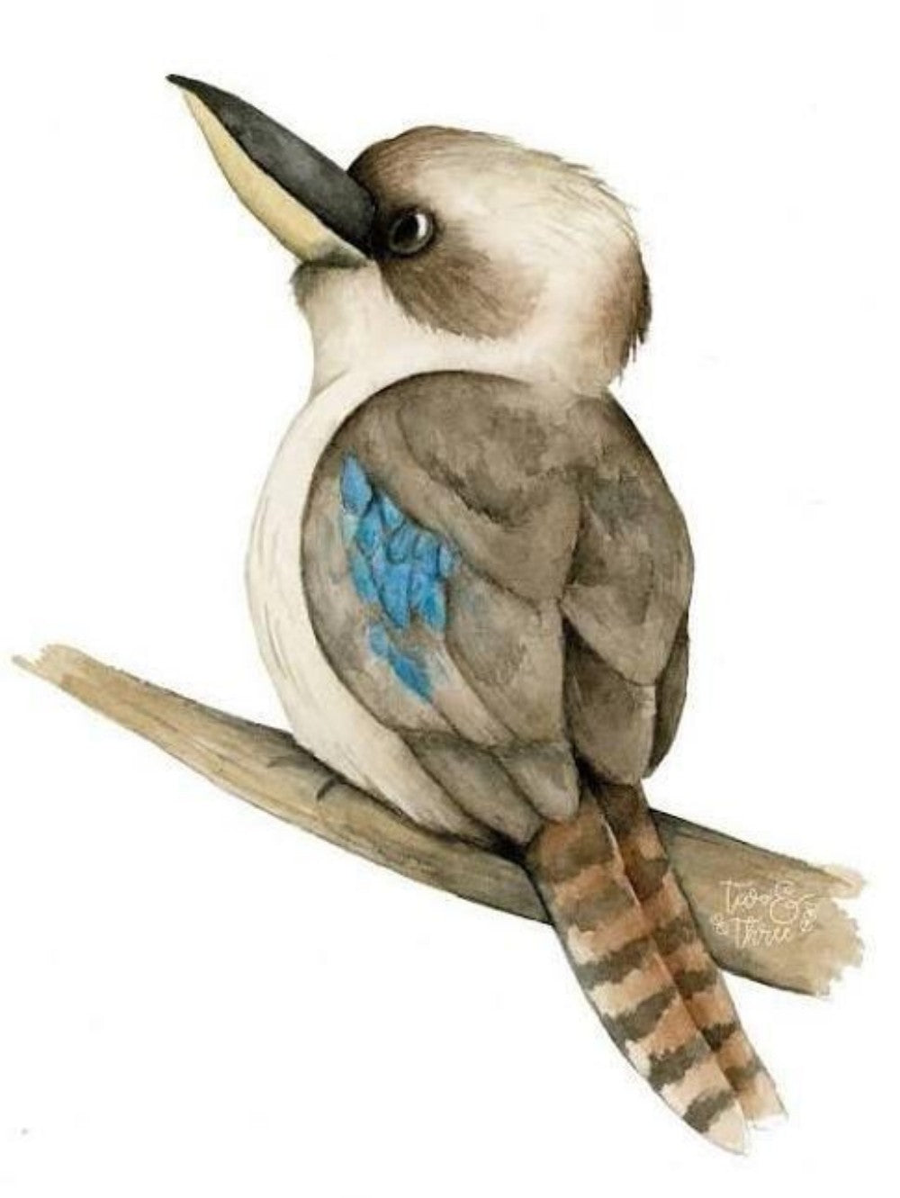 Kookaburra | Diamond Painting